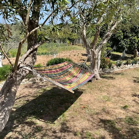 Hébergement de vacances Antigone's Garden