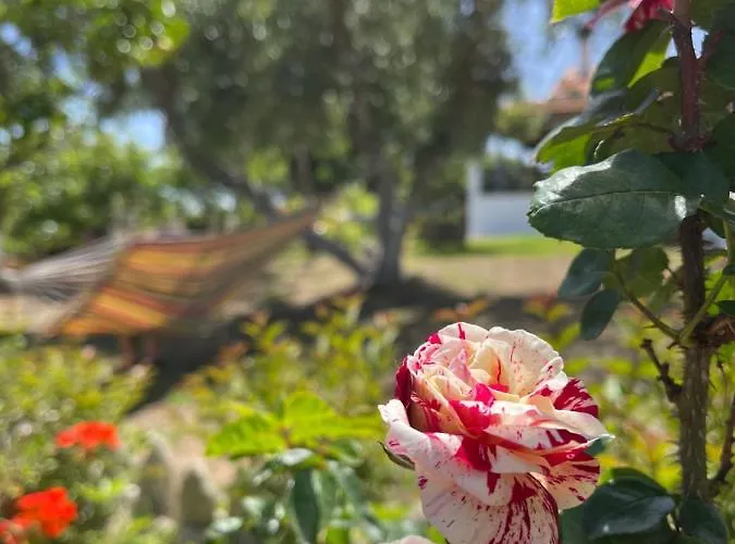 Antigone’s Garden Chalikounas