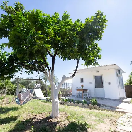 Antigone's Garden Halikounas